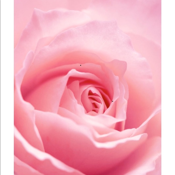 Meet your Posher Alice - Picture 1 of 1